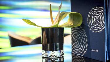 Emerald Waterways - Emerald Radiance - Horizon Lounge _5_.jpg